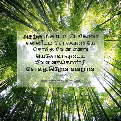 Picture 07 - 1 இராஜாக்கள் 22:14 TAMIRV - அதற்கு மிகாயா: - Bible Verse Picture