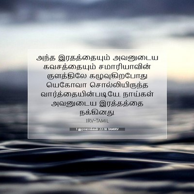 Picture 07 - 1 இராஜாக்கள் 22:38 TAMIRV - அந்த இரதத்தையும் - Bible Verse Picture
