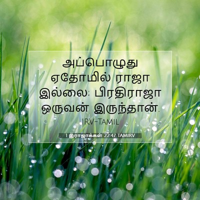 Picture 07 - 1 இராஜாக்கள் 22:47 TAMIRV - அப்பொழுது ஏதோமில் - Bible Verse Picture
