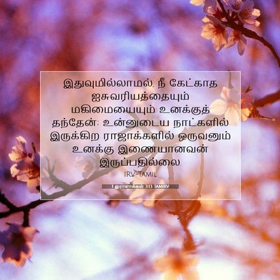Picture 07 - 1 இராஜாக்கள் 3:13 TAMIRV - இதுவுமில்லாமல், - Bible Verse Picture