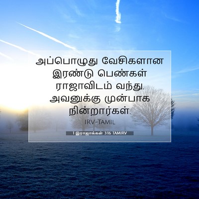 Picture 07 - 1 இராஜாக்கள் 3:16 TAMIRV - அப்பொழுது - Bible Verse Picture