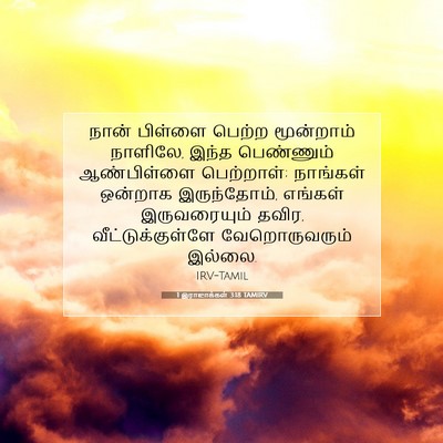 Picture 07 - 1 இராஜாக்கள் 3:18 TAMIRV - நான் பிள்ளை பெற்ற - Bible Verse Picture