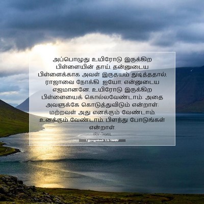 Picture 07 - 1 இராஜாக்கள் 3:26 TAMIRV - அப்பொழுது உயிரோடு - Bible Verse Picture