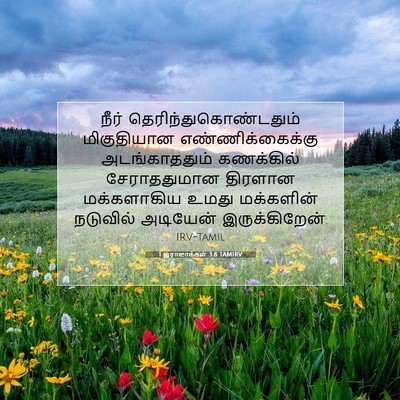 Picture 07 - 1 இராஜாக்கள் 3:8 TAMIRV - நீர் - Bible Verse Picture