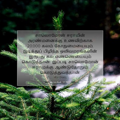 Picture 07 - 1 இராஜாக்கள் 5:11 TAMIRV - சாலொமோன் ஈராமின் - Bible Verse Picture