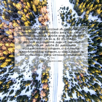 Picture 07 - 1 இராஜாக்கள் 5:9 TAMIRV - என்னுடைய - Bible Verse Picture