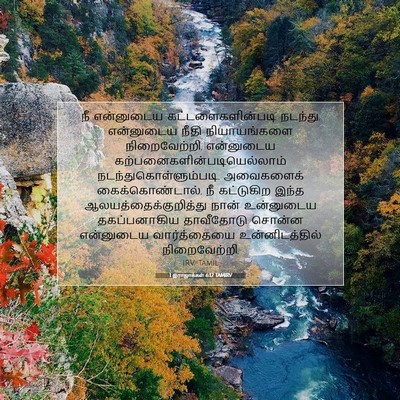 Picture 07 - 1 இராஜாக்கள் 6:12 TAMIRV - நீ என்னுடைய - Bible Verse Picture