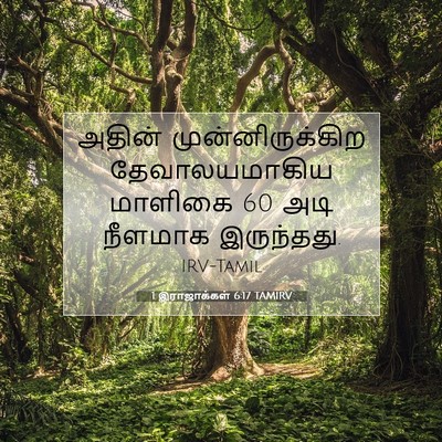 Picture 07 - 1 இராஜாக்கள் 6:17 TAMIRV - அதின் - Bible Verse Picture