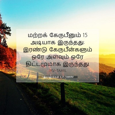 Picture 07 - 1 இராஜாக்கள் 6:25 TAMIRV - மற்றக் கேருபீனும் - Bible Verse Picture