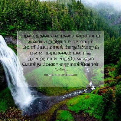 Picture 07 - 1 இராஜாக்கள் 6:29 TAMIRV - ஆலயத்தின் - Bible Verse Picture