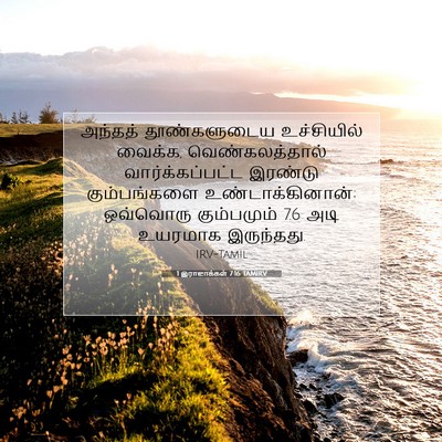 Picture 07 - 1 இராஜாக்கள் 7:16 TAMIRV - அந்தத் தூண்களுடைய - Bible Verse Picture