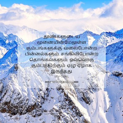Picture 07 - 1 இராஜாக்கள் 7:17 TAMIRV - தூண்களுடைய - Bible Verse Picture