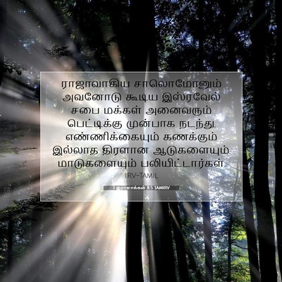 Picture 07 - 1 இராஜாக்கள் 8:5 TAMIRV - ராஜாவாகிய - Bible Verse Picture