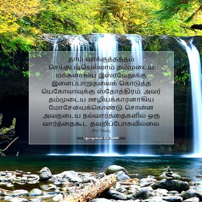 Picture 07 - 1 இராஜாக்கள் 8:56 TAMIRV - தாம் - Bible Verse Picture