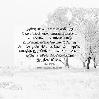 Picture 07 - 1 இராஜாக்கள் 8:9 TAMIRV - இஸ்ரவேல் மக்கள் - Bible Verse Picture