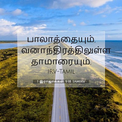 Picture 07 - 1 இராஜாக்கள் 9:18 TAMIRV - பாலாத்தையும், - Bible Verse Picture