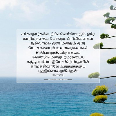 Picture 07 - 1 கொரிந்தியர் 1:10 TAMIRV - சகோதரர்களே, - Bible Verse Picture