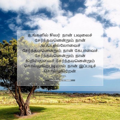 Picture 07 - 1 கொரிந்தியர் 1:12 TAMIRV - உங்களில் சிலர்: - Bible Verse Picture