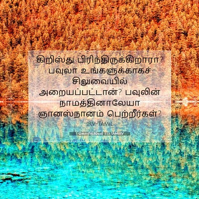 Picture 07 - 1 கொரிந்தியர் 1:13 TAMIRV - கிறிஸ்து - Bible Verse Picture