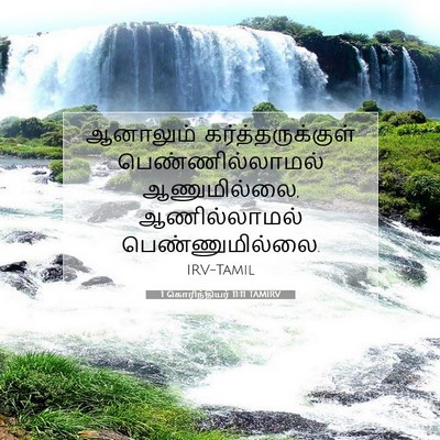 Picture 07 - 1 கொரிந்தியர் 11:11 TAMIRV - ஆனாலும் - Bible Verse Picture