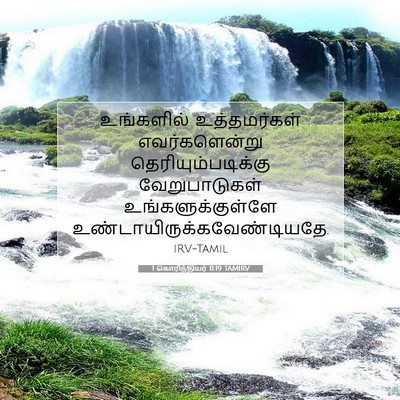 Picture 07 - 1 கொரிந்தியர் 11:19 TAMIRV - உங்களில் - Bible Verse Picture