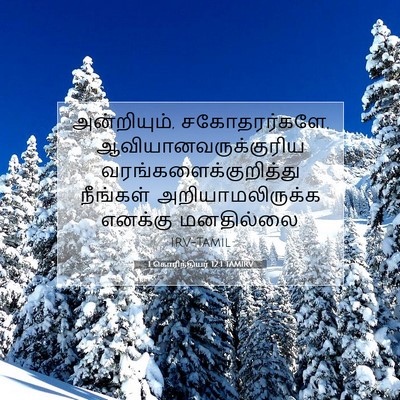 Picture 07 - 1 கொரிந்தியர் 12:1 TAMIRV - அன்றியும், - Bible Verse Picture
