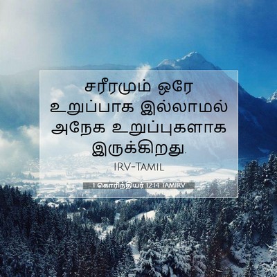 Picture 07 - 1 கொரிந்தியர் 12:14 TAMIRV - சரீரமும் ஒரே - Bible Verse Picture