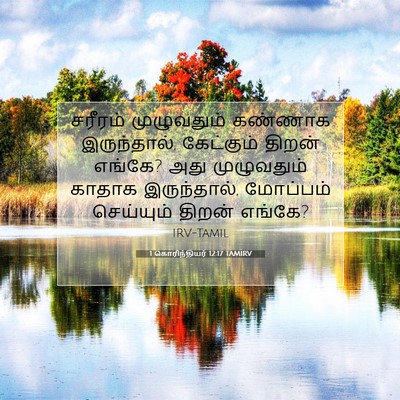 Picture 07 - 1 கொரிந்தியர் 12:17 TAMIRV - சரீரம் முழுவதும் - Bible Verse Picture