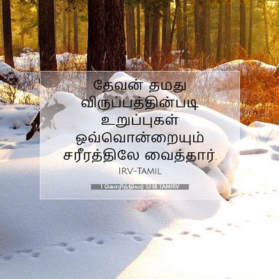 Picture 07 - 1 கொரிந்தியர் 12:18 TAMIRV - தேவன் தமது - Bible Verse Picture