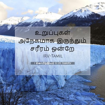 Picture 07 - 1 கொரிந்தியர் 12:20 TAMIRV - உறுப்புகள் - Bible Verse Picture