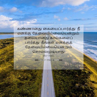 Picture 07 - 1 கொரிந்தியர் 12:21 TAMIRV - கண்ணானது - Bible Verse Picture