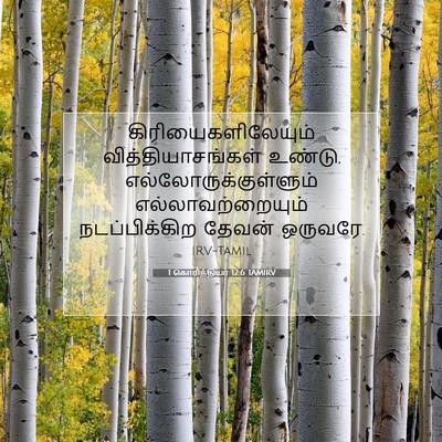Picture 07 - 1 கொரிந்தியர் 12:6 TAMIRV - கிரியைகளிலேயும் - Bible Verse Picture