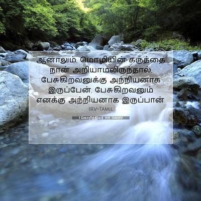 Picture 07 - 1 கொரிந்தியர் 14:11 TAMIRV - ஆனாலும், மொழியின் - Bible Verse Picture