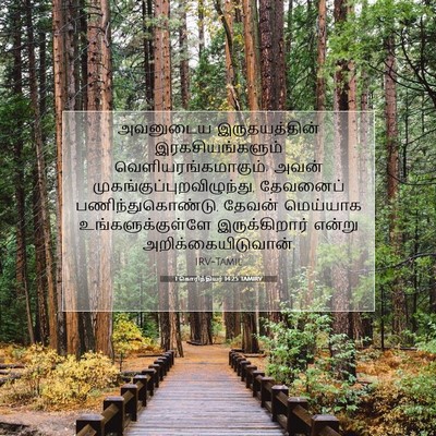 Picture 07 - 1 கொரிந்தியர் 14:25 TAMIRV - அவனுடைய - Bible Verse Picture
