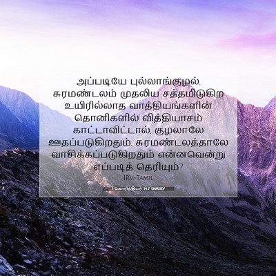 Picture 07 - 1 கொரிந்தியர் 14:7 TAMIRV - அப்படியே - Bible Verse Picture