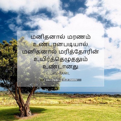 Picture 07 - 1 கொரிந்தியர் 15:21 TAMIRV - மனிதனால் மரணம் - Bible Verse Picture
