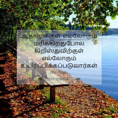 Picture 07 - 1 கொரிந்தியர் 15:22 TAMIRV - ஆதாமுக்குள் - Bible Verse Picture