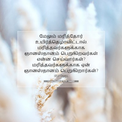 Picture 07 - 1 கொரிந்தியர் 15:29 TAMIRV - மேலும் மரித்தோர் - Bible Verse Picture