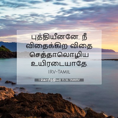 Picture 07 - 1 கொரிந்தியர் 15:36 TAMIRV - புத்தியீனனே, நீ - Bible Verse Picture