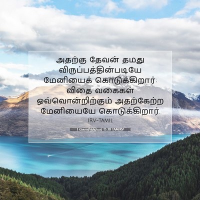 Picture 07 - 1 கொரிந்தியர் 15:38 TAMIRV - அதற்கு தேவன் தமது - Bible Verse Picture