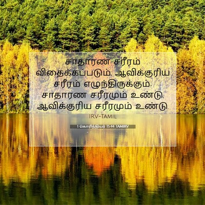 Picture 07 - 1 கொரிந்தியர் 15:44 TAMIRV - சாதாரண சரீரம் - Bible Verse Picture