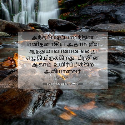 Picture 07 - 1 கொரிந்தியர் 15:45 TAMIRV - அந்தப்படியே - Bible Verse Picture