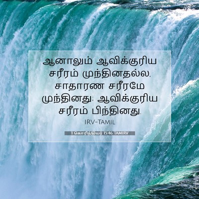 Picture 07 - 1 கொரிந்தியர் 15:46 TAMIRV - ஆனாலும் - Bible Verse Picture