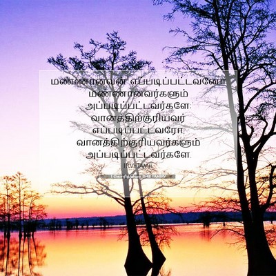 Picture 07 - 1 கொரிந்தியர் 15:48 TAMIRV - மண்ணானவன் - Bible Verse Picture