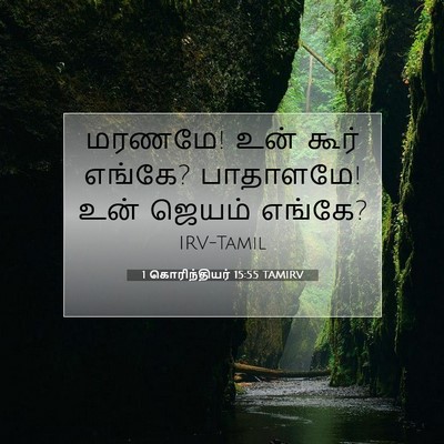 Picture 07 - 1 கொரிந்தியர் 15:55 TAMIRV - மரணமே! உன் கூர் - Bible Verse Picture