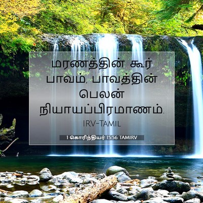 Picture 07 - 1 கொரிந்தியர் 15:56 TAMIRV - மரணத்தின் கூர் - Bible Verse Picture