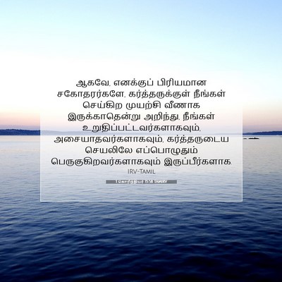 Picture 07 - 1 கொரிந்தியர் 15:58 TAMIRV - ஆகவே, எனக்குப் - Bible Verse Picture