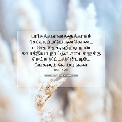Picture 07 - 1 கொரிந்தியர் 16:1 TAMIRV -  - Bible Verse Picture