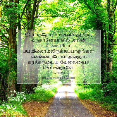 Picture 07 - 1 கொரிந்தியர் 16:10 TAMIRV - தீமோத்தேயு - Bible Verse Picture