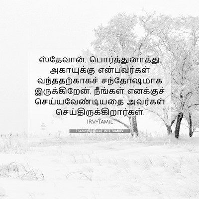 Picture 07 - 1 கொரிந்தியர் 16:17 TAMIRV - ஸ்தேவான், - Bible Verse Picture